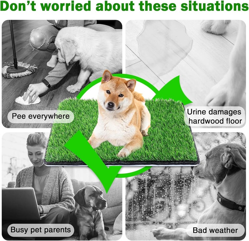 Annexfun Dog Grass Mat with Pee Pad 32×23", Medium Dog Litter Box Indoor Artificial Turf Grass Porch Waterproof Patio Potty Tray for Doggie Reusable Washable Pads and Lawn for Replacement for Puppy Training - Image 2